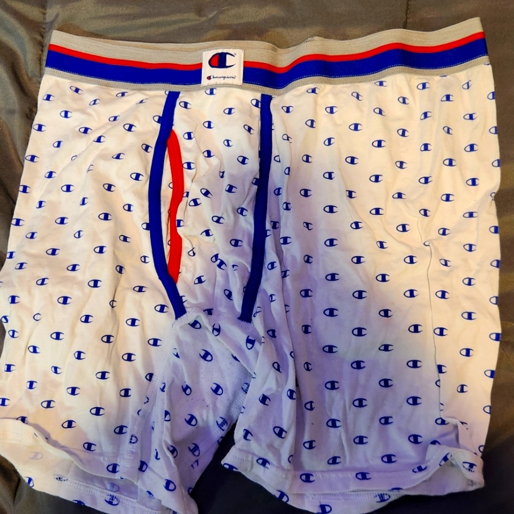 Champion boxer briefs